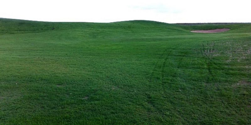 Bild zum Thema Golfplatzbegrünung