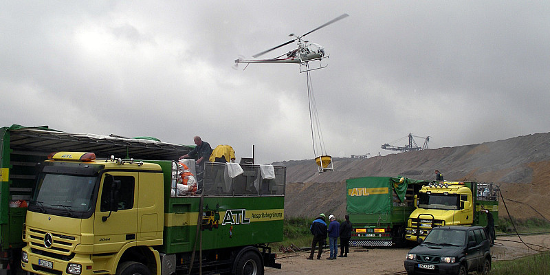 Bild zum Thema Extremflächenbegrünung